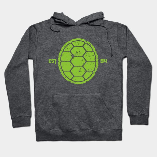 Legendary Turtles Hoodie by Vitalitee